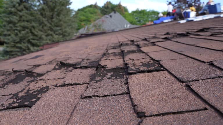 Best Rubber Roofing (EPDM, TPO)  in Santa Ana Pueblo, NM