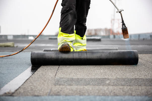 Best Roof Moss and Algae Removal  in Santa Ana Pueblo, NM