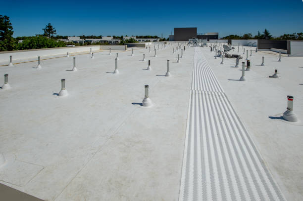 Best Asphalt Shingle Roofing  in Santa Ana Pueblo, NM